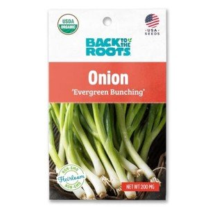 Onion 'Evergreen Bunching' Seeds Packet