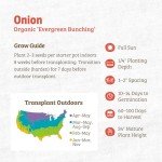 Onion 'Evergreen Bunching' Seeds Packet