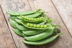 Sugar Ann Snap Pea Seeds - Heirloom, Non-GMO