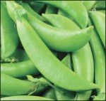 Sugar Ann Snap Pea Seeds - Heirloom, Non-GMO