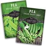 Oregon Sugar Pod II & Sugar Daddy Snap Pea Seeds