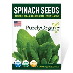 Organic Bloomsdale Spinach Seeds - 300 Count