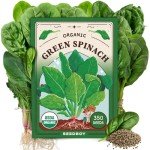 Organic Bloomsdale Spinach Seeds - Non-GMO, 350 Pack
