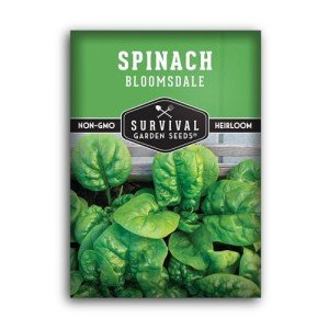 Bloomsdale Spinach Seeds for Your Vegetable Garden