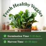 Organic Bloomsdale Spinach Seeds - Non-GMO, 350 Pack