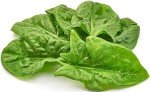 Heirloom Viroflay Spinach Seeds - 500 Count