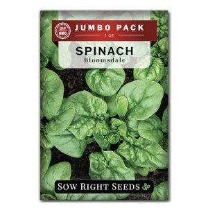 Bloomsdale Spinach Seeds - Non-GMO Jumbo Pack