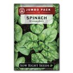 Bloomsdale Spinach Seeds - Non-GMO Jumbo Pack