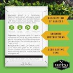 Bloomsdale Spinach Seeds for Your Vegetable Garden