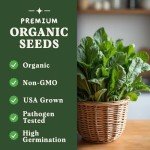Organic Bloomsdale Spinach Seeds - Non-GMO, 350 Pack