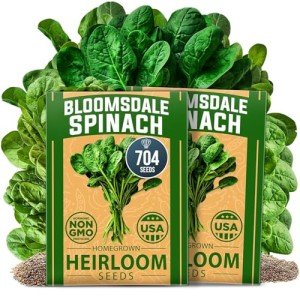 Bloomsdale Spinach Seeds - Non-GMO Heirloom Packs