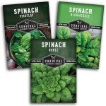 Spinach Seed Collection - 3 Varieties with Instructions