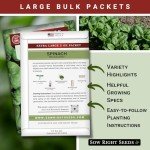 Bloomsdale Spinach Seeds - Non-GMO Jumbo Pack