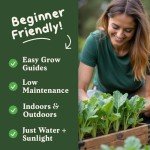 Organic Bloomsdale Spinach Seeds - Non-GMO, 350 Pack