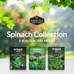 Spinach Seed Collection - 3 Varieties with Instructions