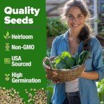 Bloomsdale Spinach Seeds - Non-GMO Heirloom Packs
