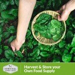 Bloomsdale Spinach Seeds for Your Vegetable Garden