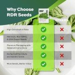 Heirloom Viroflay Spinach Seeds - 500 Count