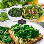 Spinach Seed Collection - 3 Varieties with Instructions