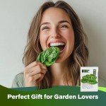 Heirloom Viroflay Spinach Seeds - 500 Count