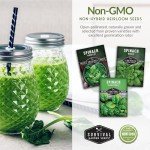 Spinach Seed Collection - 3 Varieties with Instructions