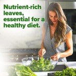 Bloomsdale Spinach Seeds - Non-GMO Heirloom Packs