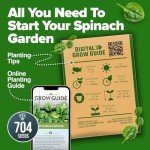 Bloomsdale Spinach Seeds - Non-GMO Heirloom Packs