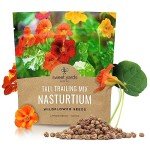 Mixed Color Nasturtium Seeds – Large Packet
