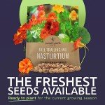 Mixed Color Nasturtium Seeds – Large Packet