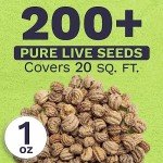 Mixed Color Nasturtium Seeds – Large Packet