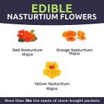 Mixed Color Nasturtium Seeds – Large Packet