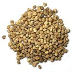 Jewel Mix Nasturtium Seeds - 350+ Edible Flowers