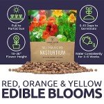 Mixed Color Nasturtium Seeds – Large Packet