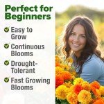Petite French Marigold Seeds - Easy Outdoor Bloom
