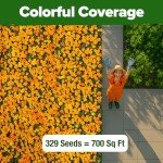 Petite French Marigold Seeds - Easy Outdoor Bloom