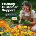 Petite French Marigold Seeds - Easy Outdoor Bloom