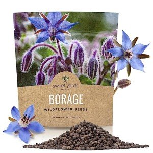 Borage Seeds - Large Packet of Non-GMO Seeds