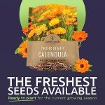 Calendula ‘Pacific Beauty Mix’ Wildflower Seeds Packet