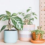 15-Pack Funny Waterproof Wooden Plant Markers