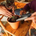 Fiskars Indoor Gardening Soil Scoop and Brush Set
