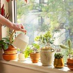 15-Pack Funny Waterproof Wooden Plant Markers