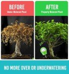 GROWIT Indoor Plant Moisture Meter - No Battery Needed