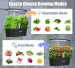 Indoor Hydroponic Herb Garden Kit with Timer