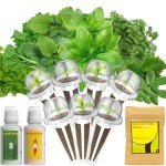 Gourmet Herb Seed Pod Kit for Indoor Gardens