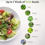 Gourmet Herb Seed Pod Kit for Indoor Gardens