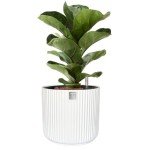 Self-Watering Ceramic Pot for Indoor Plants
