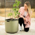 Self-Watering Tomato Planter Box with Trellis