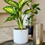Self-Watering Ceramic Pot for Indoor Plants