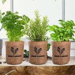 Indoor Herb Garden Kit with Wooden Box & Seeds