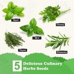 Indoor Herb Garden Kit with Wooden Box & Seeds